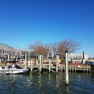 Magnet fishing Annapolis City Dock – Reason and Nature