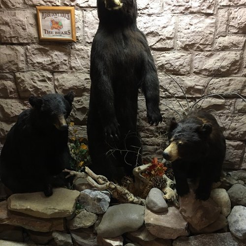 THREE BEAR LODGE - Updated 2024 Prices & Hotel Reviews (West ...