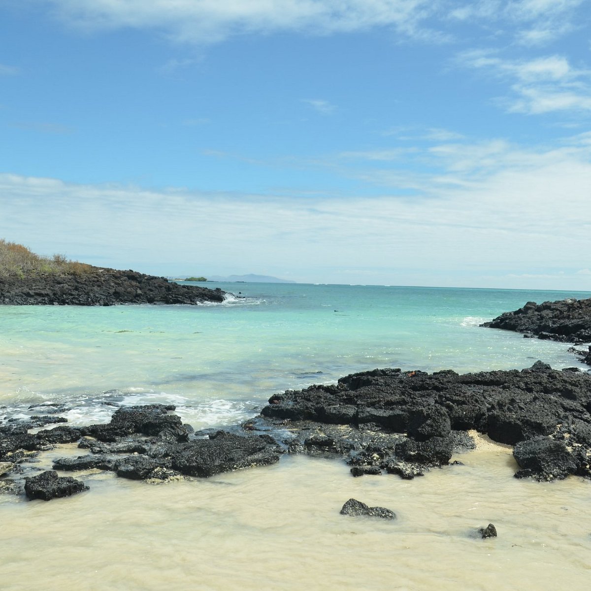 Tortuga bay эквадор. Пуэрто Айора Галапагосы. Пляж Тортуга Бэй Эквадор. Santa Cruz Island el Garrapatero, Santa Cruz Island. Galapagos Beach at Tortuga Bay.