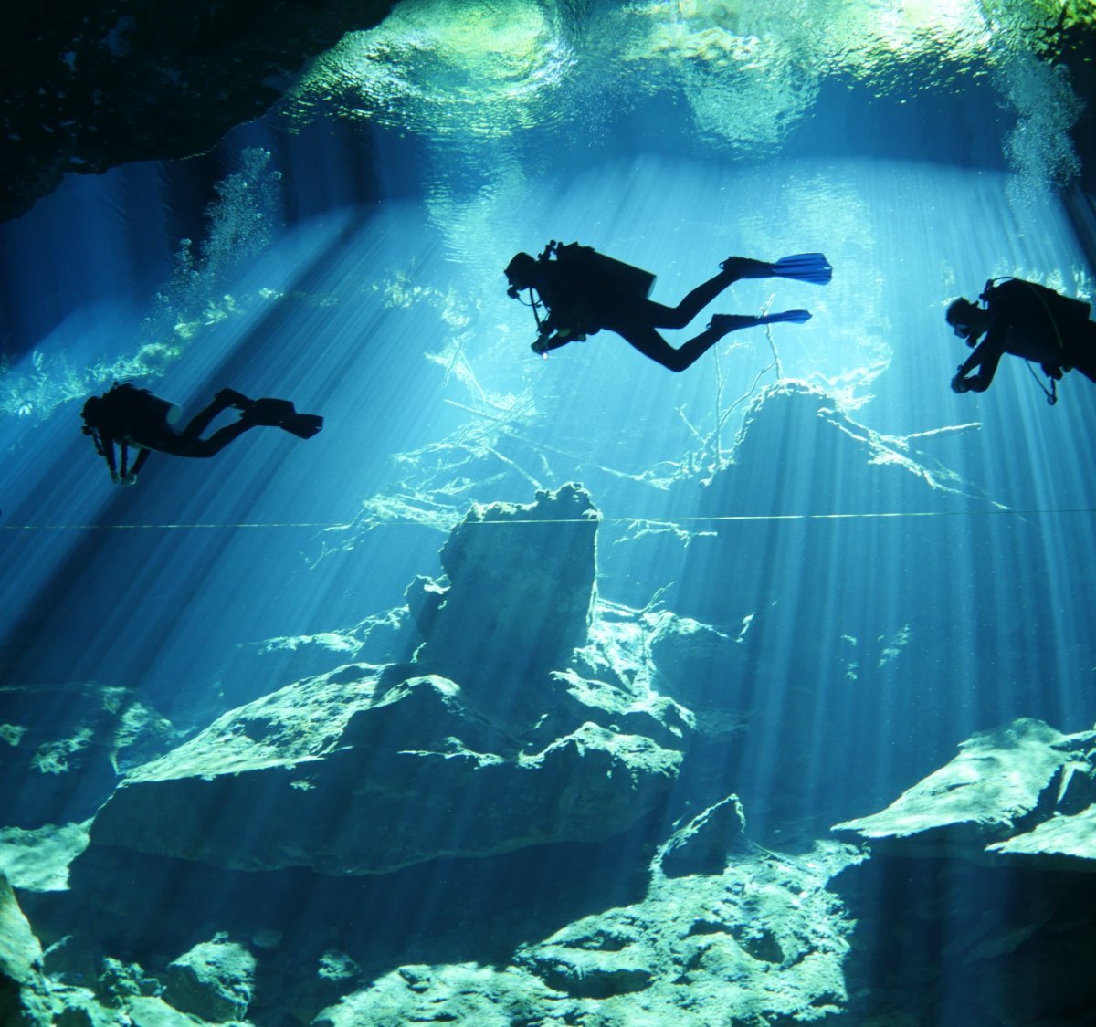 Dive mexico playa del carmen south palms resort wedding packages