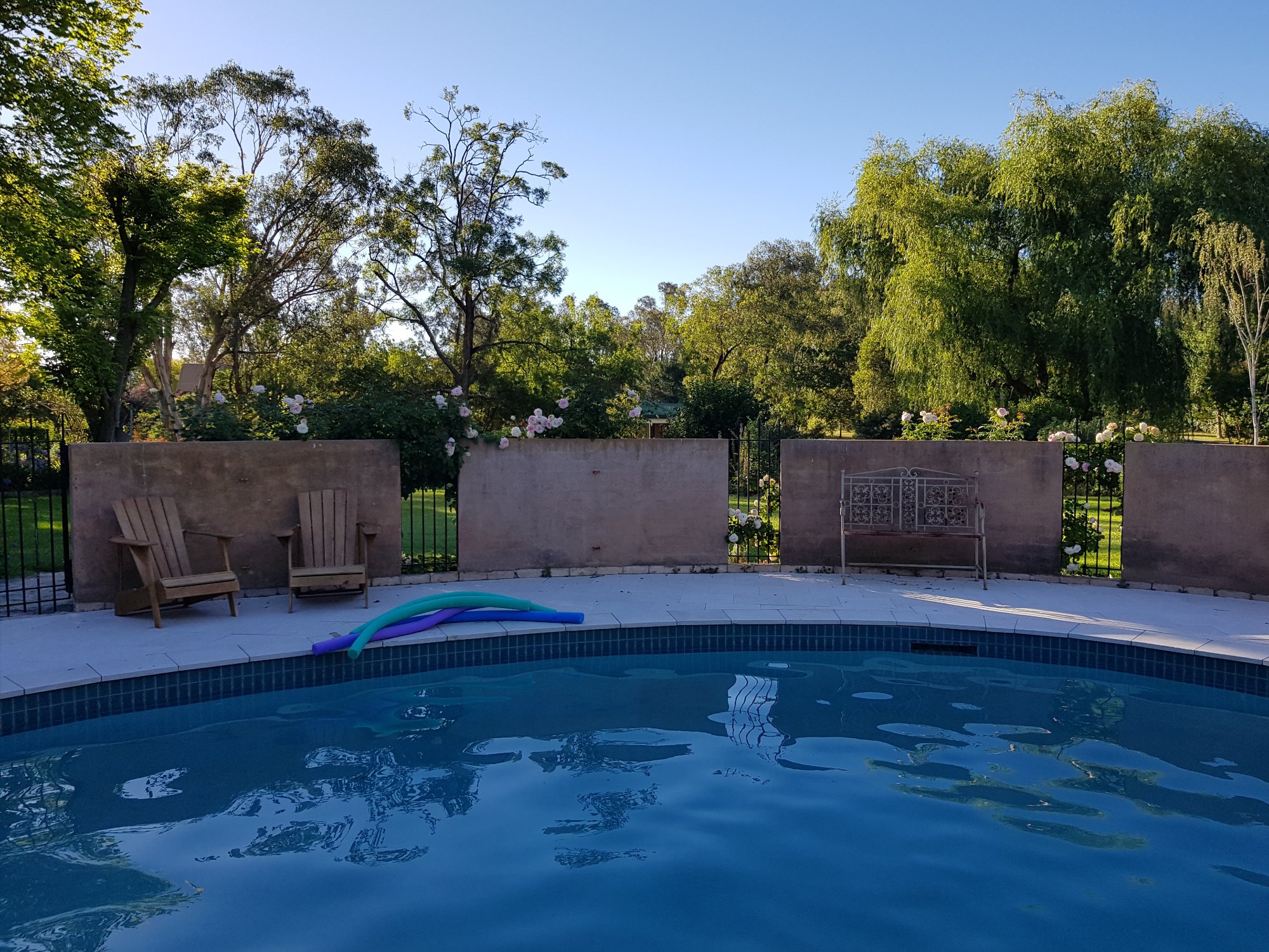 BIRCHES MUDGEE (AU$234): 2023 Prices & Reviews - Photos Of B&B ...