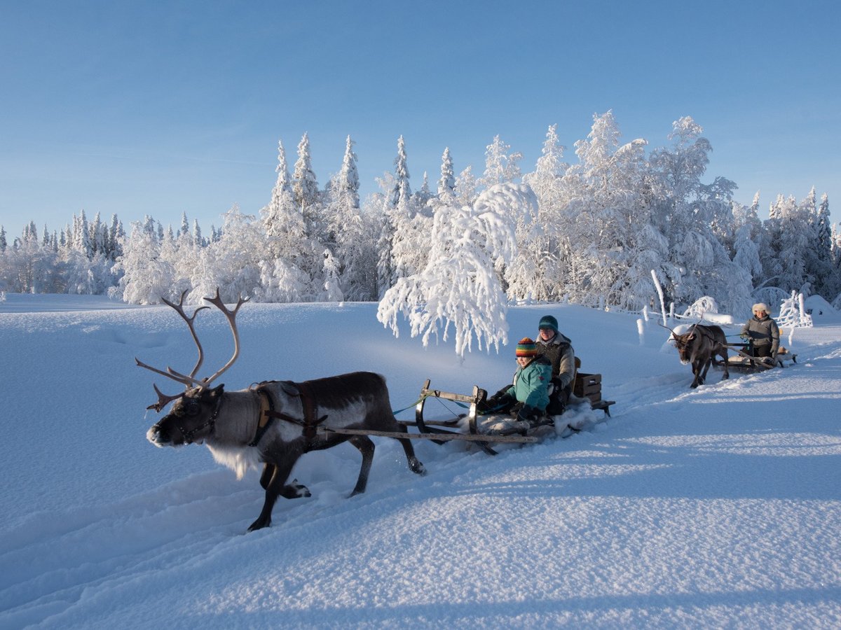 Wildnisdorf Solberget - All You Need to Know BEFORE You Go (2025)