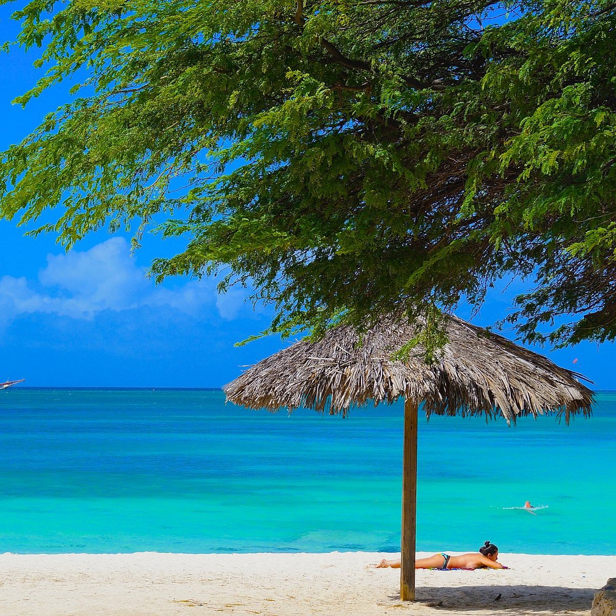 Palm Beach Palmeagle Beach Aruba Review Tripadvisor