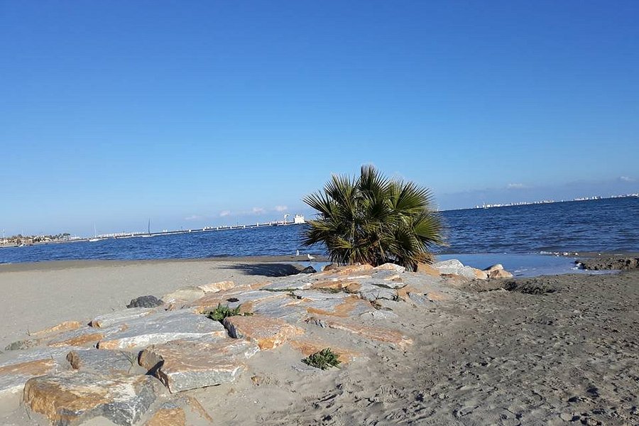 Playa de Las Salinas image