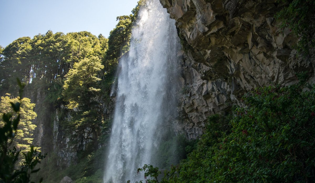 LAS 15 MEJORES cosas que hacer en Provincia de Neuquén (Actualizado 2024) -  Tripadvisor