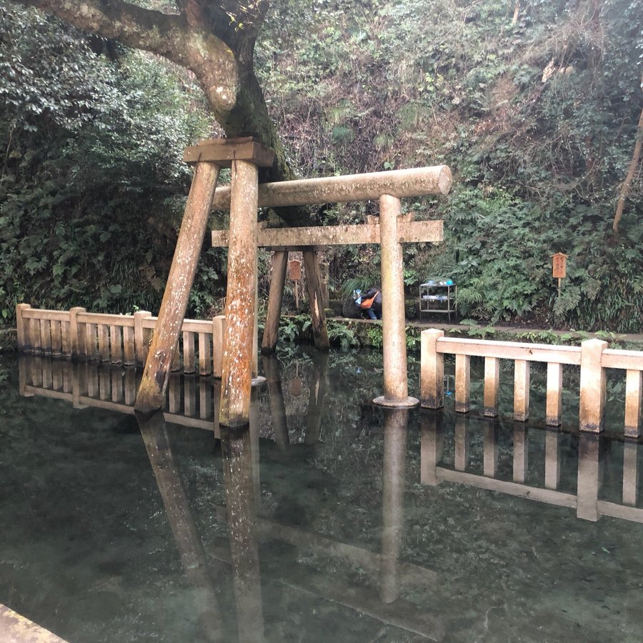 吉見屋旅館 口コミ 宿泊予約 トリップアドバイザー