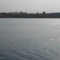 刀水橋下流側にいた鴨の群れ