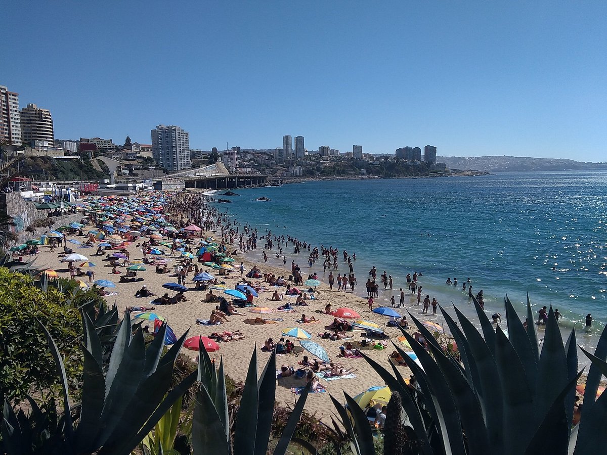 Playa Caleta Abarca (Vina del Mar) - All You Need to Know BEFORE You Go