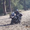 Grzegorz N