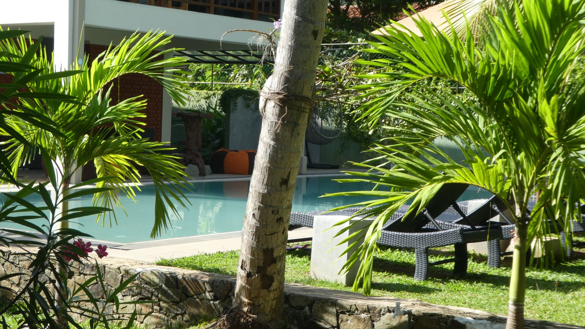 Hotel photo 4 of Handagedara Resort.