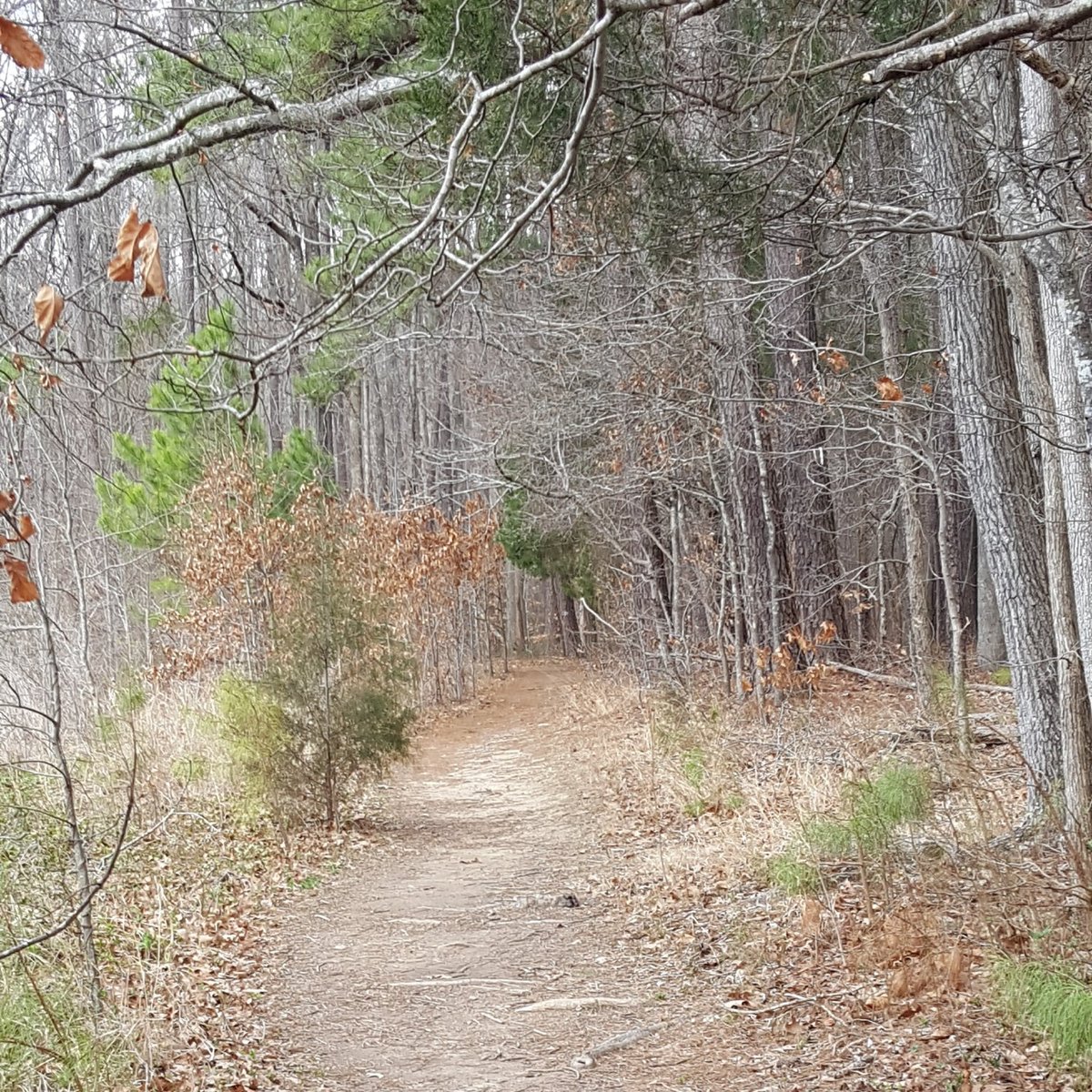 Sandy Creek Park Trail (Durham): All You Need to Know