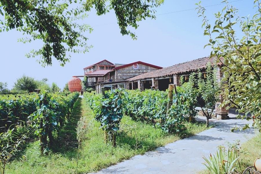 Qvevri and Qvevri Wine Museum image