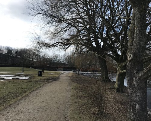tøjlerne ubrugt eftertænksom THE 10 BEST Parks & Nature Attractions in Aalborg - Tripadvisor