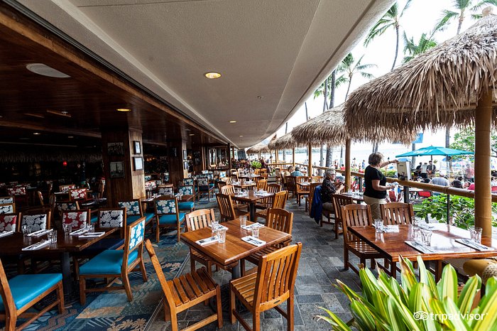 アウトリガー ワイキキ ビーチ リゾート Outrigger Waikiki Beach Resort ホノルル 22年最新の料金比較 口コミ 宿泊予約 トリップアドバイザー アウトリガー ワイキキ ビーチ リゾート Outrigger Waikiki Beach Resort ホノルル 22年最新の料金比較 口コミ 宿泊予約 トリップアドバイザー