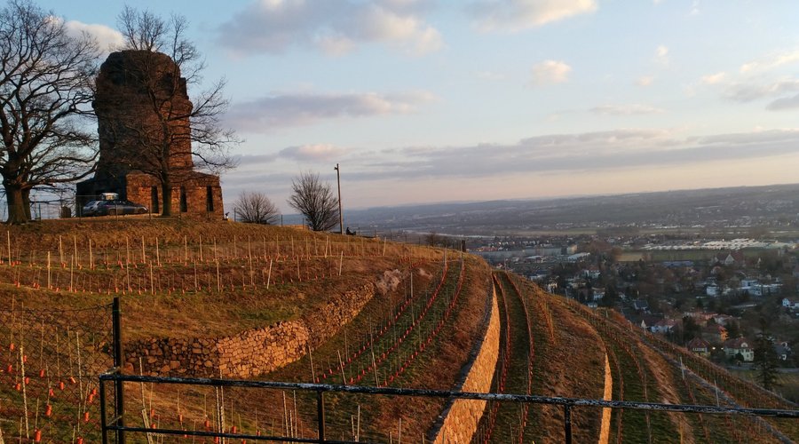 Bismarckturm in Radebeul