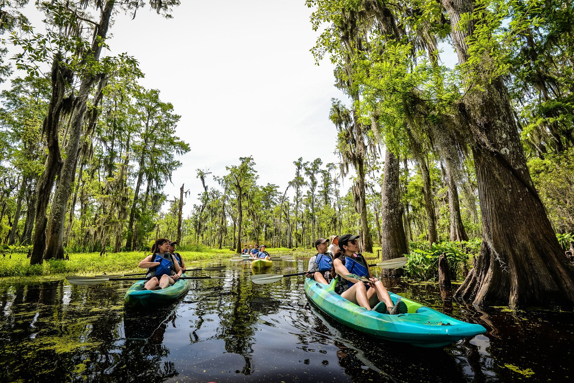 new orleans kayak tour swamp