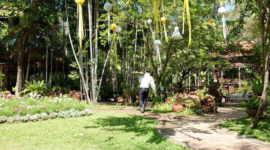 The garden