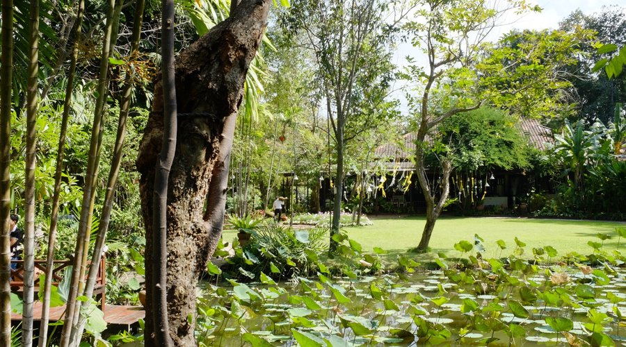 The garden