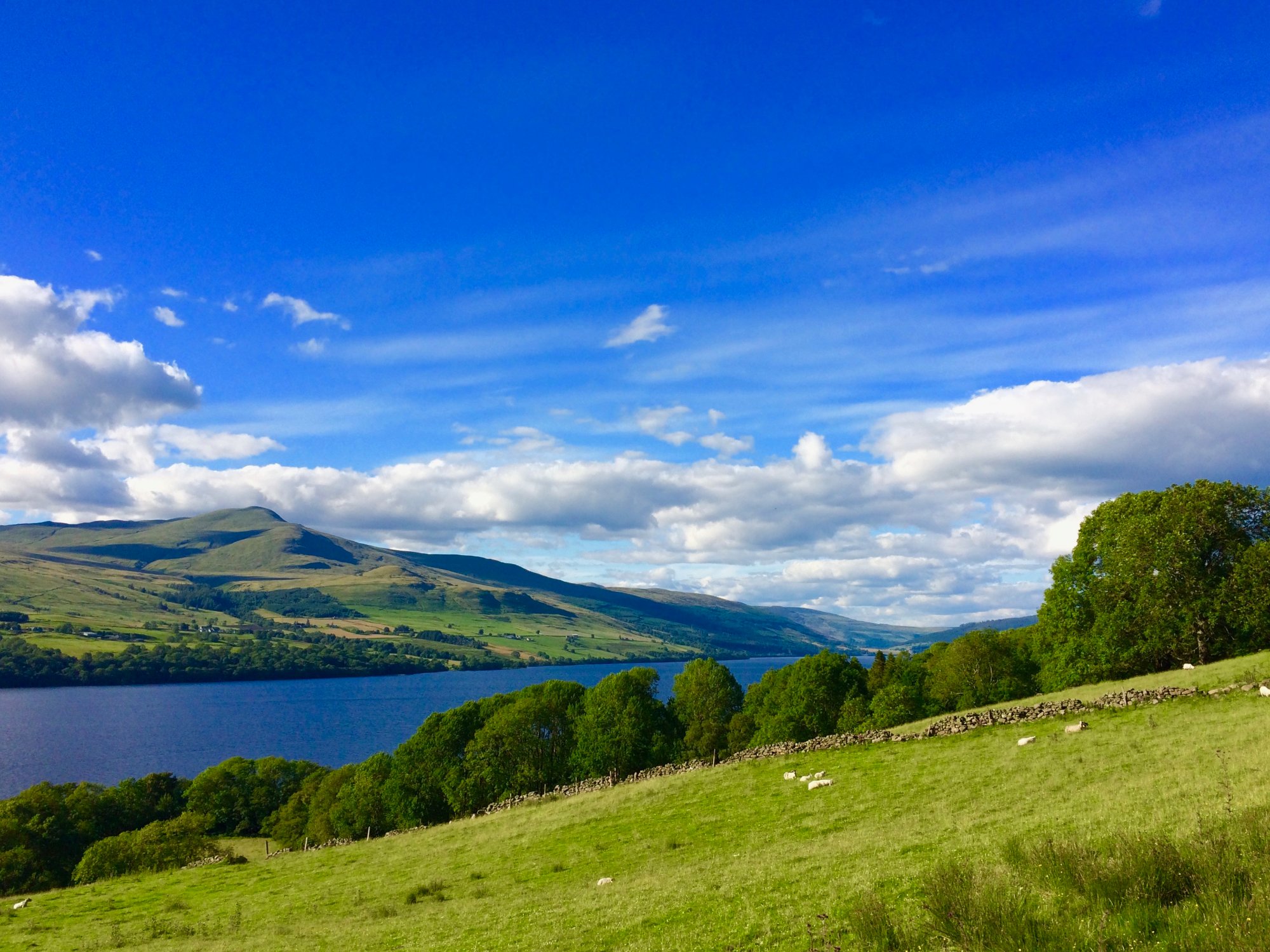 THE 10 BEST Things To Do In Loch Tay 2024 Must See Attractions   Loch Tay 