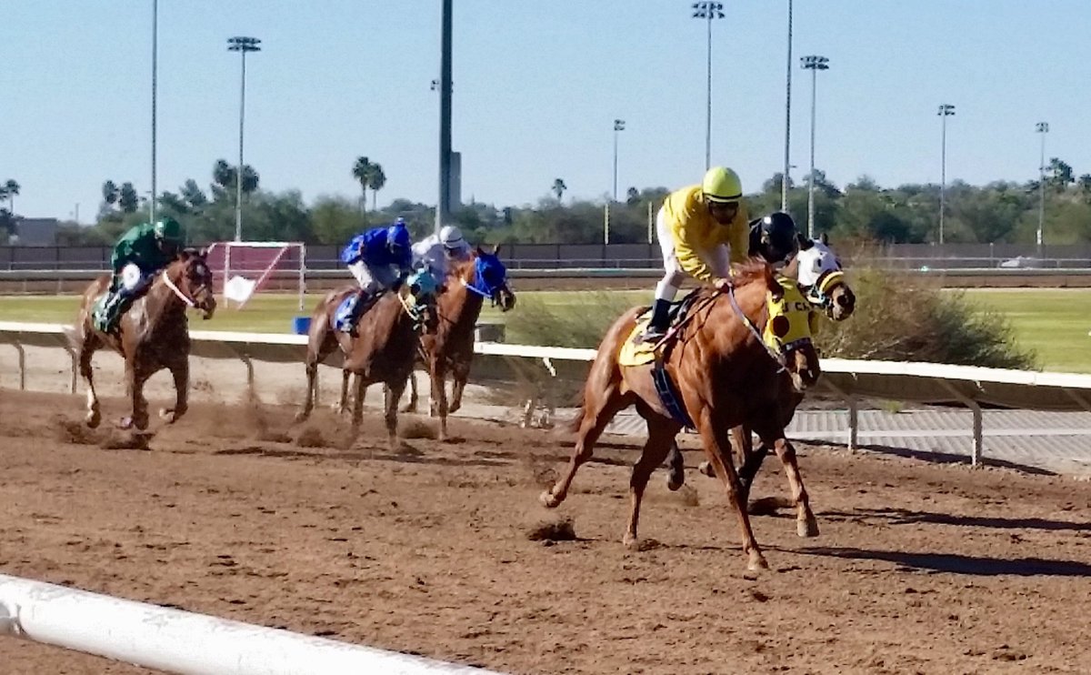 Rillito Race Track 2022 Schedule Rillito Park Horse Racetrack (Tucson) - 2022 All You Need To Know Before  You Go (With Photos) - Tucson, Az | Tripadvisor