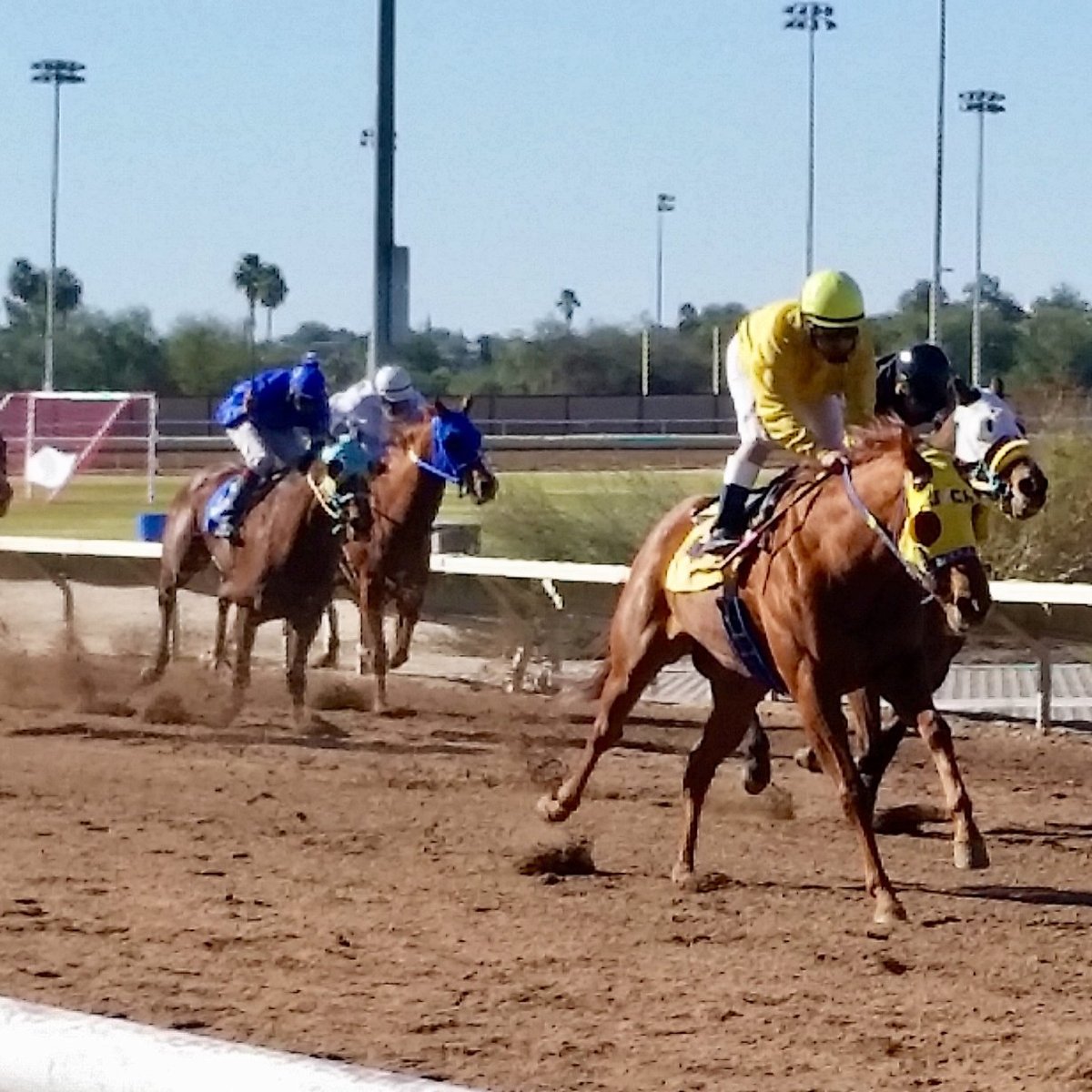 RILLITO PARK HORSE RACETRACK (Tucson) 2023 Qué saber antes de ir Lo