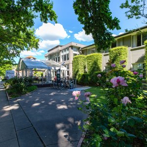 Grounds at the Forrest Hotel And Apartments