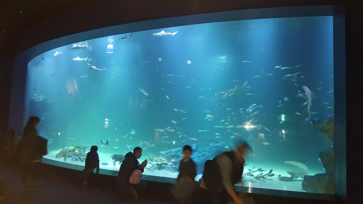 Alive Aquarium Daegu - All You Need to Know BEFORE You Go (2024)