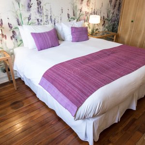 The Agustinas Deluxe at the Matildas Hotel Boutique