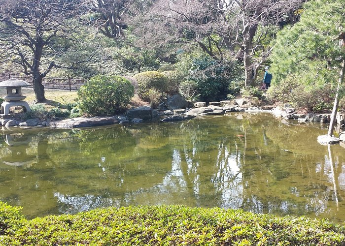 https://dynamic-media-cdn.tripadvisor.com/media/photo-o/12/2e/bb/64/shirokane-park.jpg?w=700&h=500&s=1