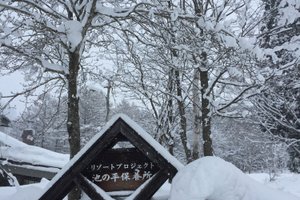 旅行者の写真