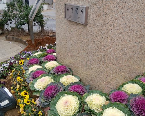 自由が丘の遊び場 自由が丘の遊び場をチェックする トリップアドバイザー 自由が丘の遊び場 自由が丘の遊び場をチェックする トリップアドバイザー