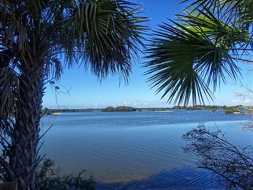 Secret Spots--Tampa Bay to Cedar Key : Tampa Bay to Cedar Key