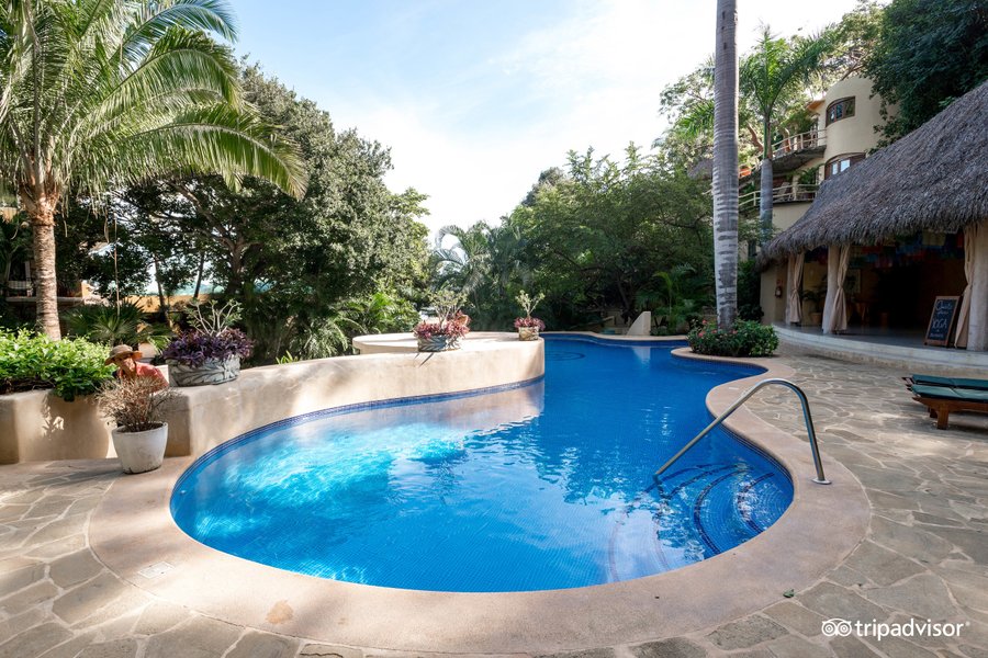 AMOR BOUTIQUE HOTEL - Updated 2020 Prices & Reviews (Sayulita, Mexico ...