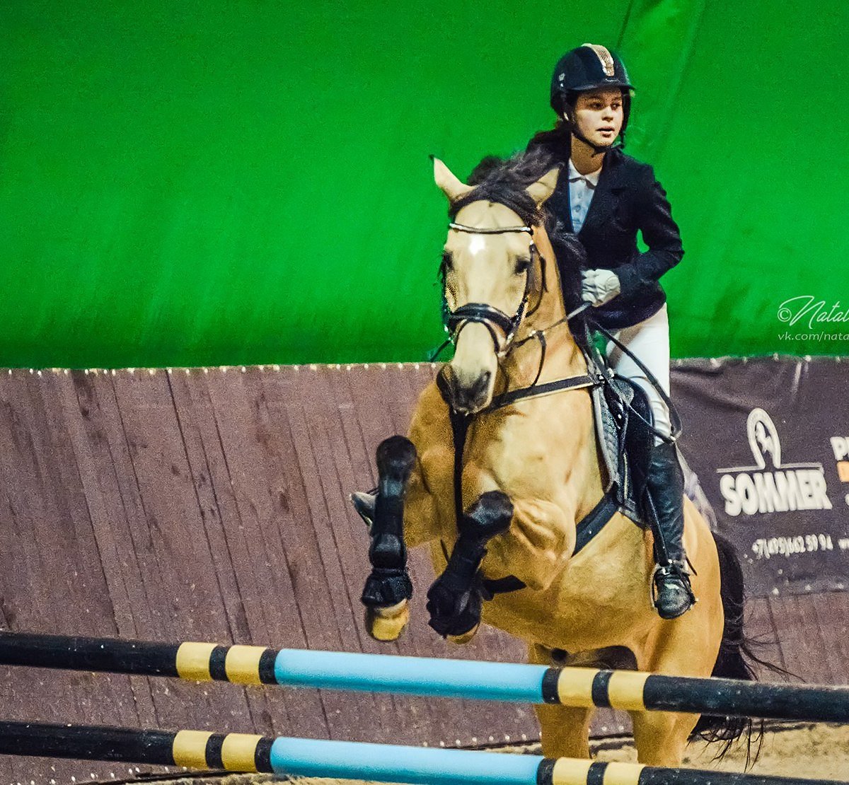 Хорс нмхл. КСК Голден Хорс. Golden Horse Таганрог. Конный клуб Таганрог Голден Хорс. КСК Голден Хорс Таганрог конюшни.