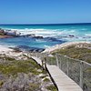 Things To Do in Hermanus Cliff Path, Restaurants in Hermanus Cliff Path