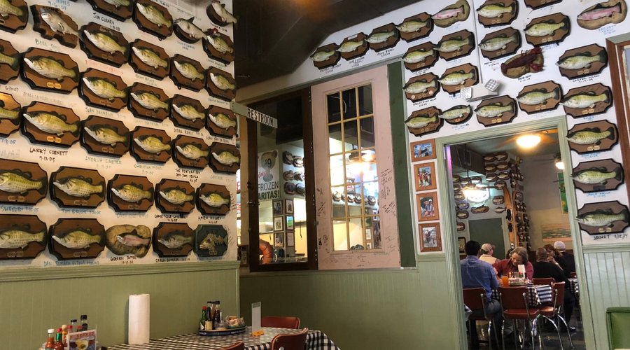 Flying Fish of Little Rock