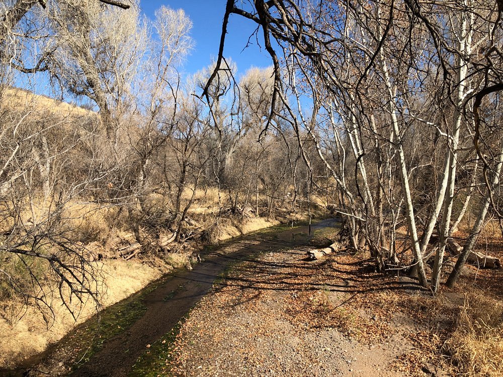 Patagonia Sonoita Creek Preserve Ce Quil Faut Savoir 0926