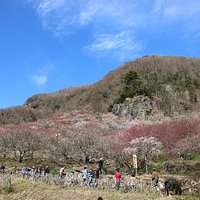 湯河原梅園
