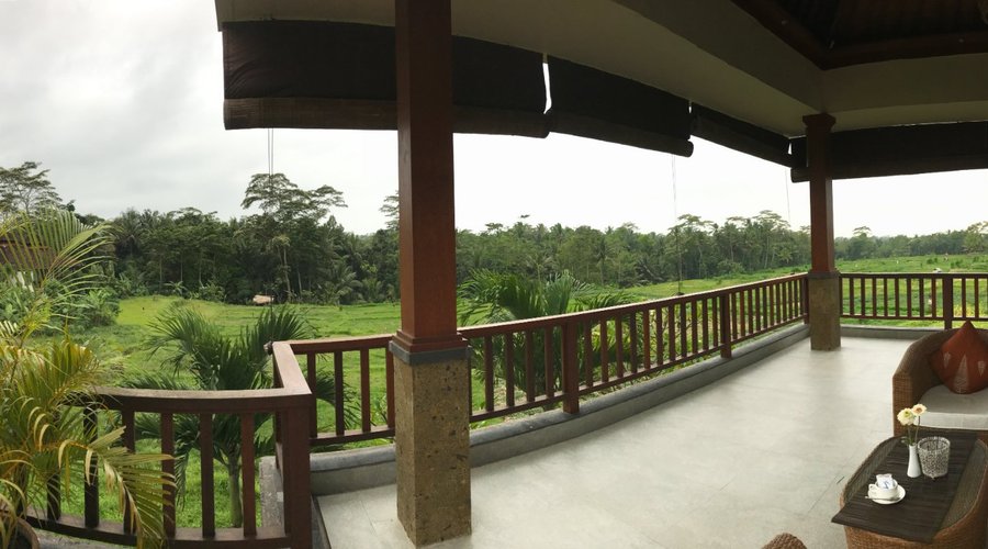 Aussicht von der Terrasse im 1.OG