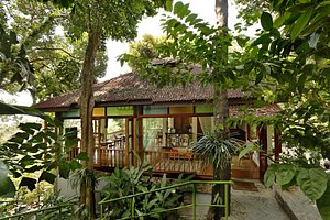 Ambong Ambong Rainforest Retreat in Langkawi, image may contain: Hotel, Resort, Rainforest, Villa