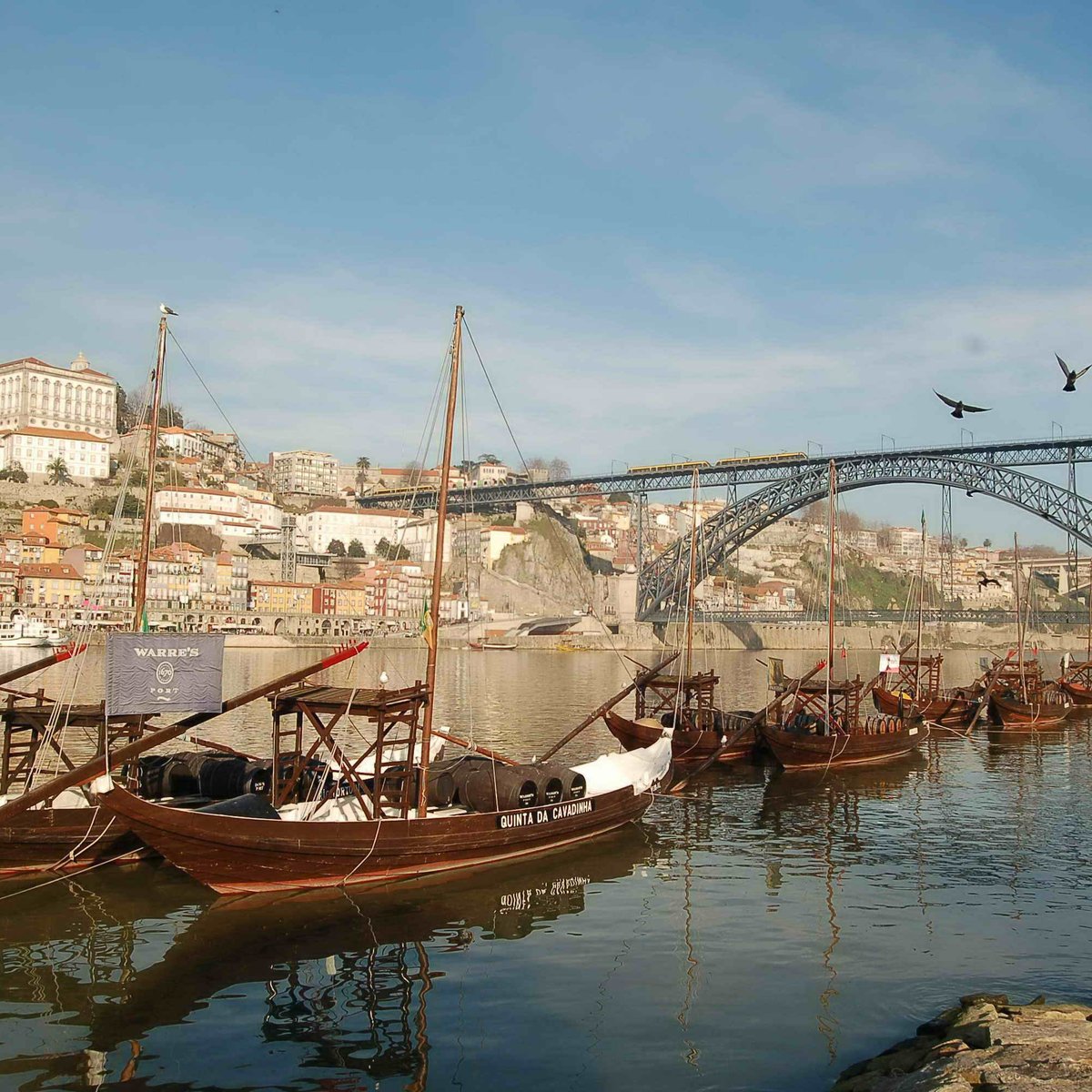 SELECTION TOURS (Porto) - All You Need to Know BEFORE You Go