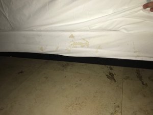 Room & Suite