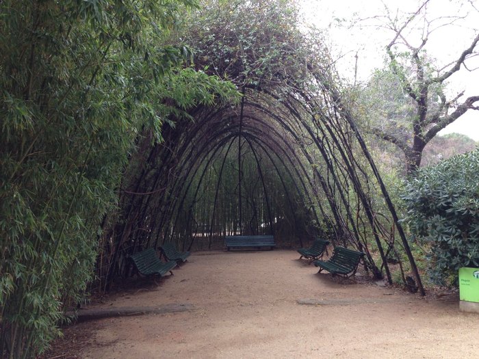 Imagen 6 de Jardins Palau Reial Pedralbes