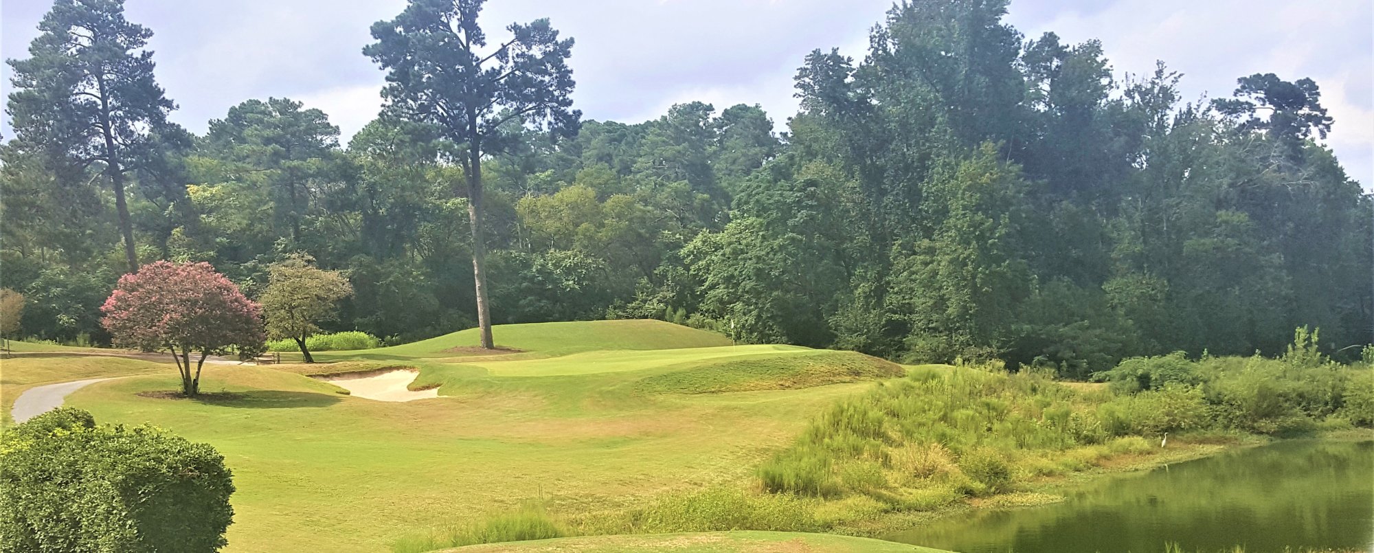 FOREST HILLS GOLF CLUB Augusta All You Need To Know BEFORE You Go   Number 16 Par 3 159 Yards 