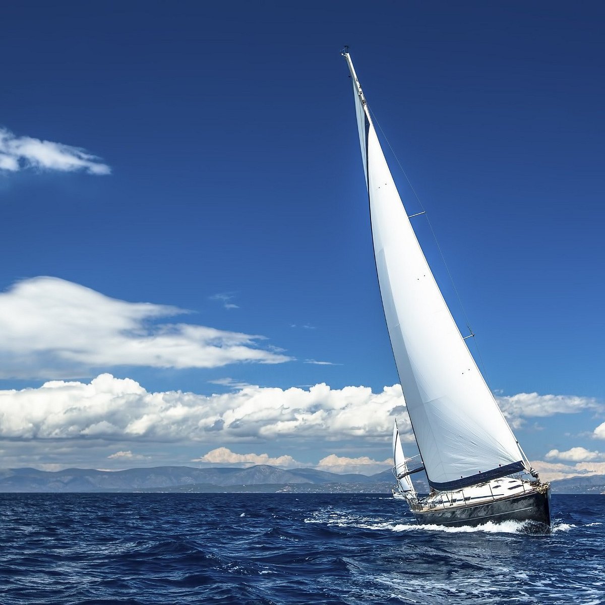 windsail cruises