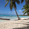 Things To Do in Saona Island Day Trip from Santo Domingo, Restaurants in Saona Island Day Trip from Santo Domingo