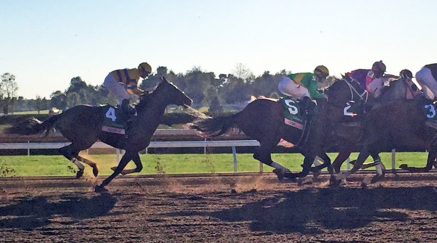 Keeneland Racetrack, Lexington, KY