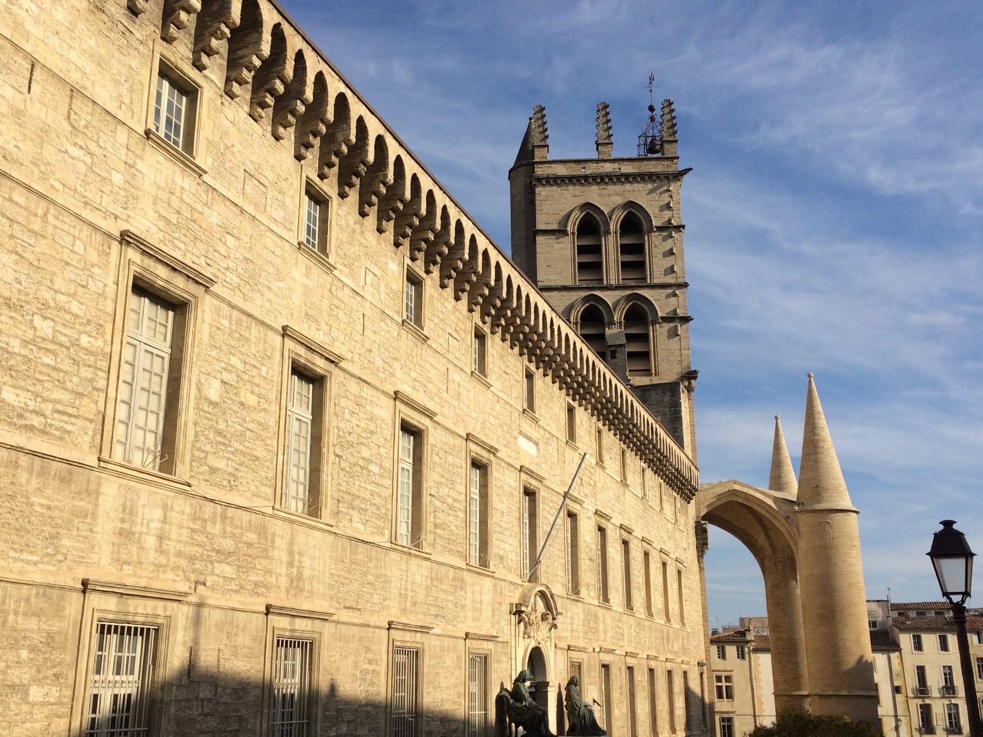 Museum And Conservatory Of Anatomy, (Montpellier) - 2022 Alles Wat U ...