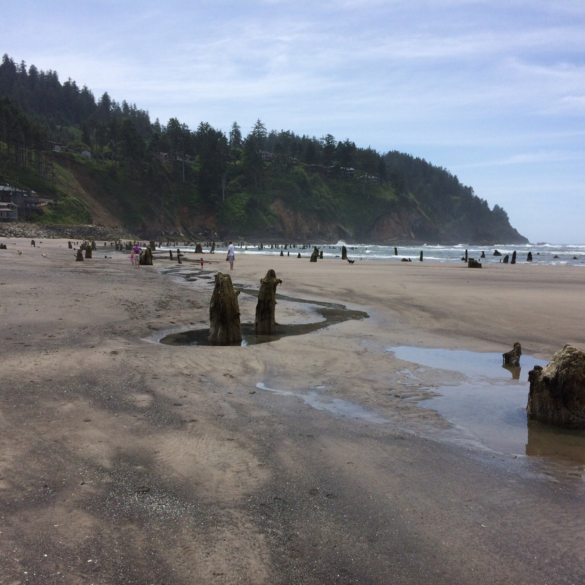 THE BEST Hotels In Neskowin OR 2024 Tripadvisor   Proposal Rock 