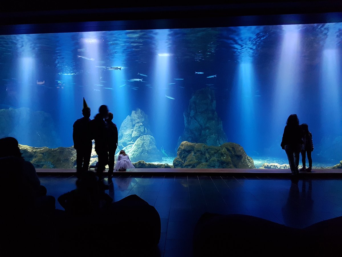 Israel Aquarium, Иерусалим: лучшие советы перед посещением - Tripadvisor